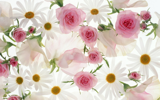 455056 (a): :1680x1050